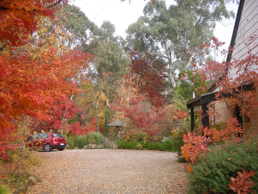 Merrimeet Cottages Bright Esterno foto