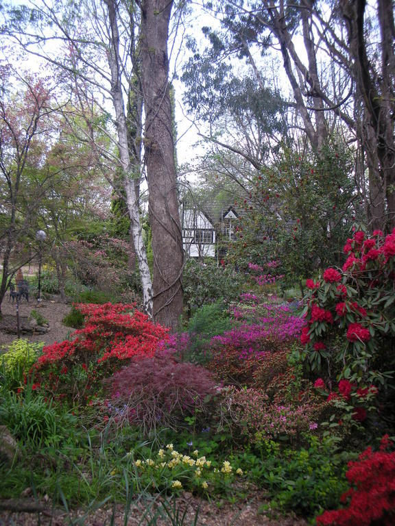 Merrimeet Cottages Bright Esterno foto